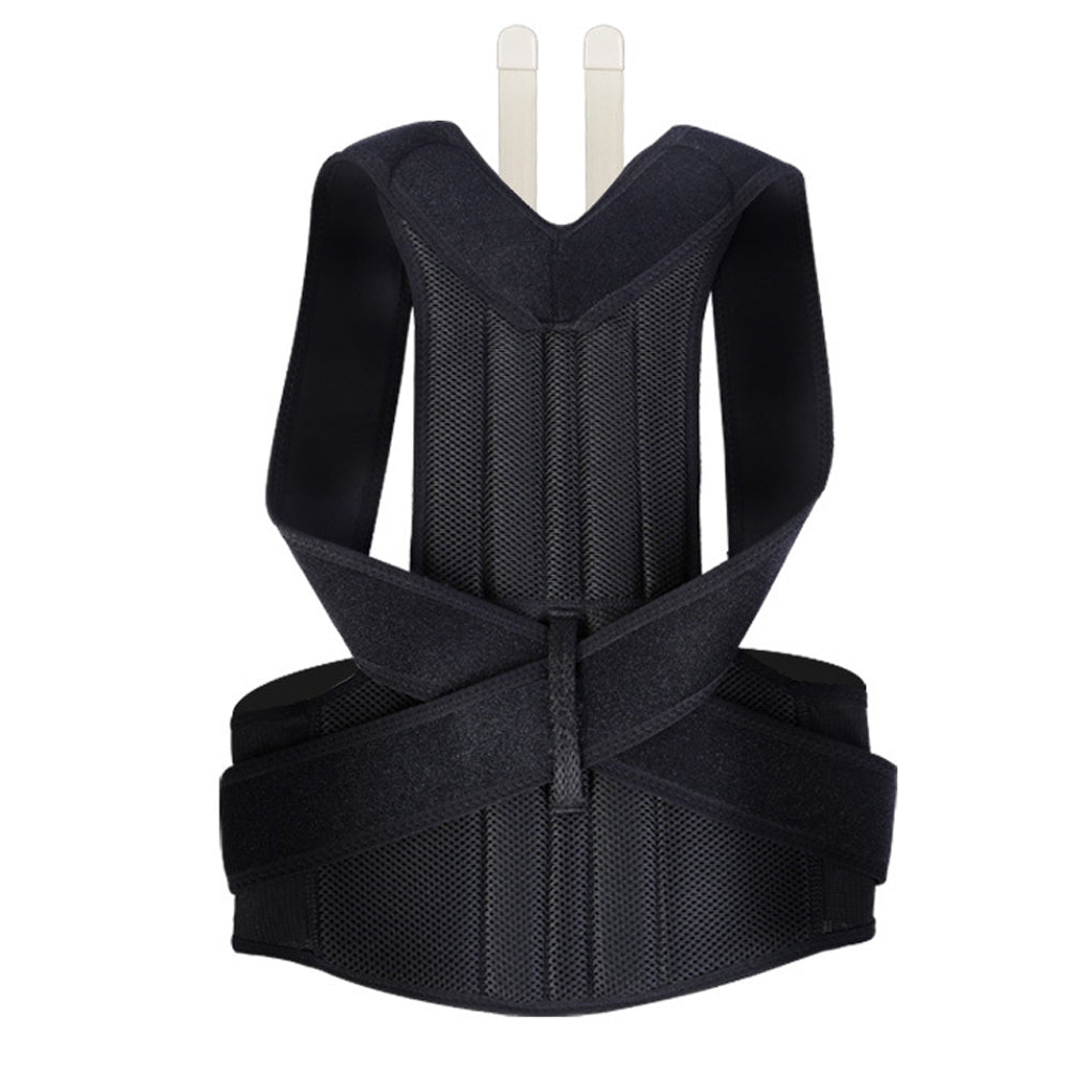 Back Posture Belt